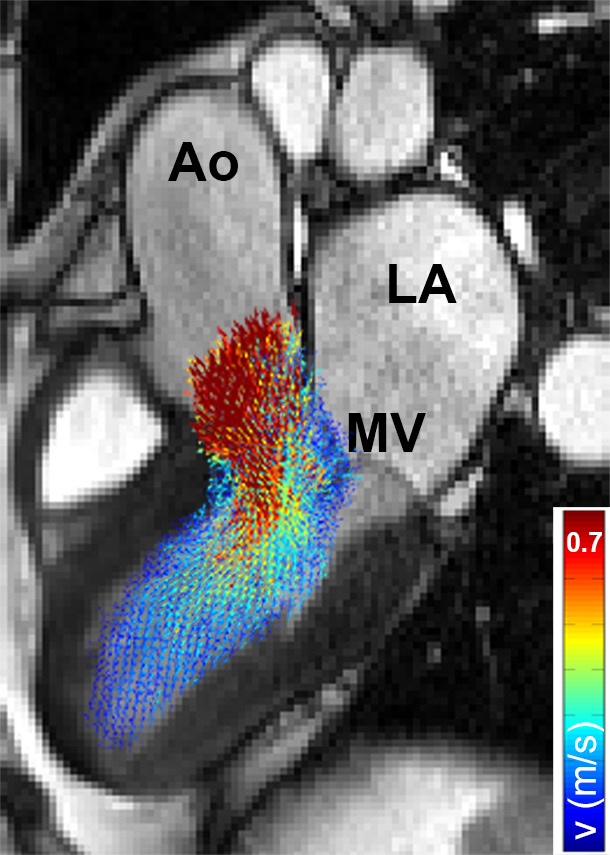 Figure 2a: