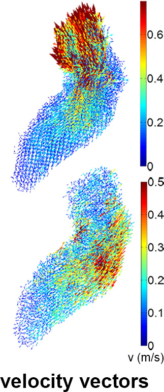 Figure 1f: