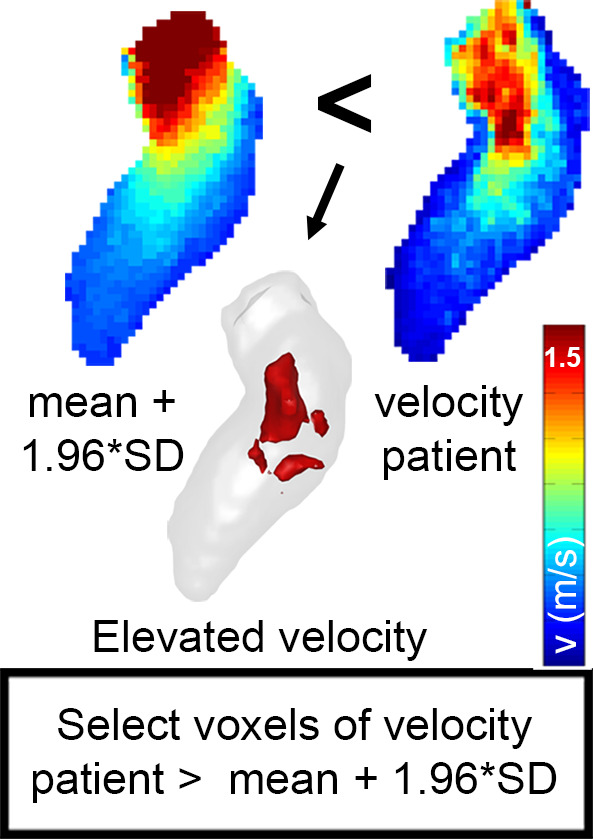 Figure 2d: