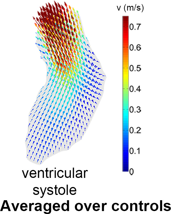 Figure 4c: