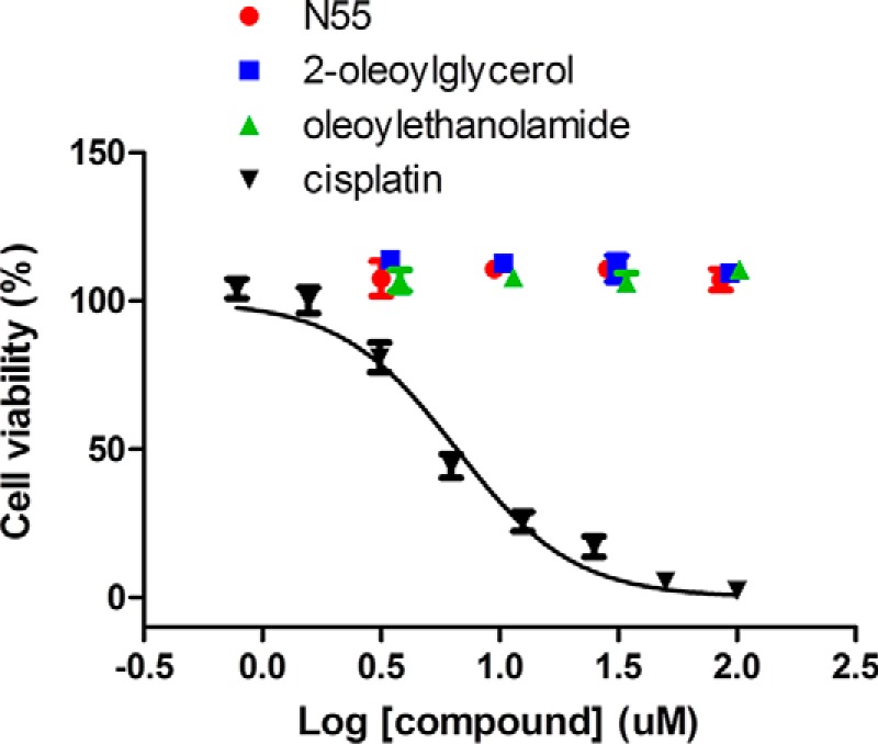 FIGURE 10.