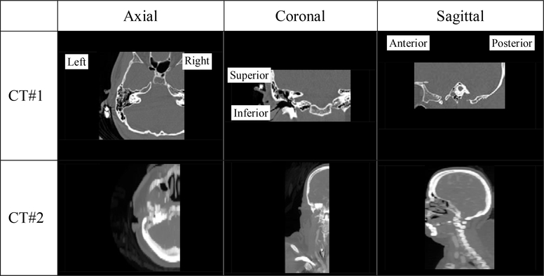 Fig. 9