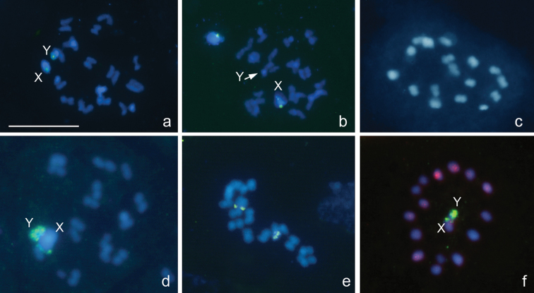 Figure 3a–f.