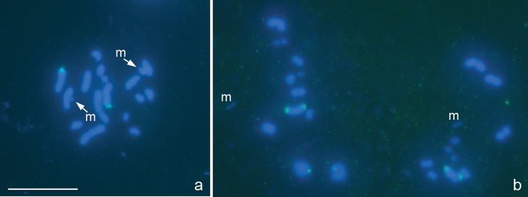 Figure 4a, b.