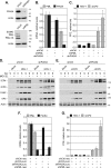 FIG 11