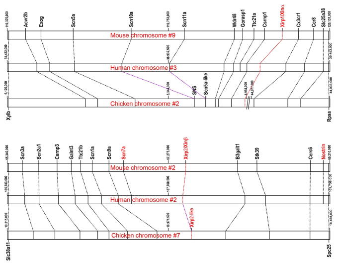 Figure 3.1