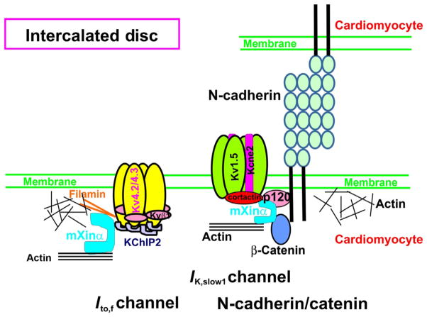 Figure 3.6