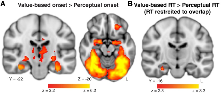 Figure 3—figure supplement 2.