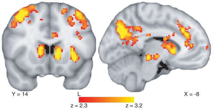 Figure 3—figure supplement 5.