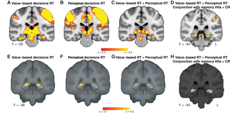 Figure 3—figure supplement 3.