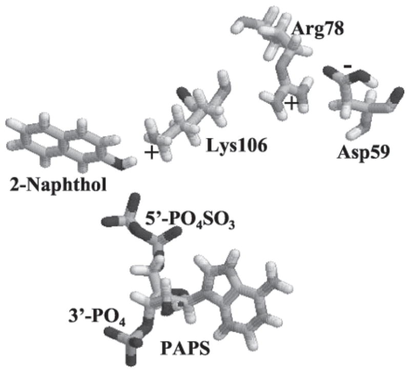 Fig. 8