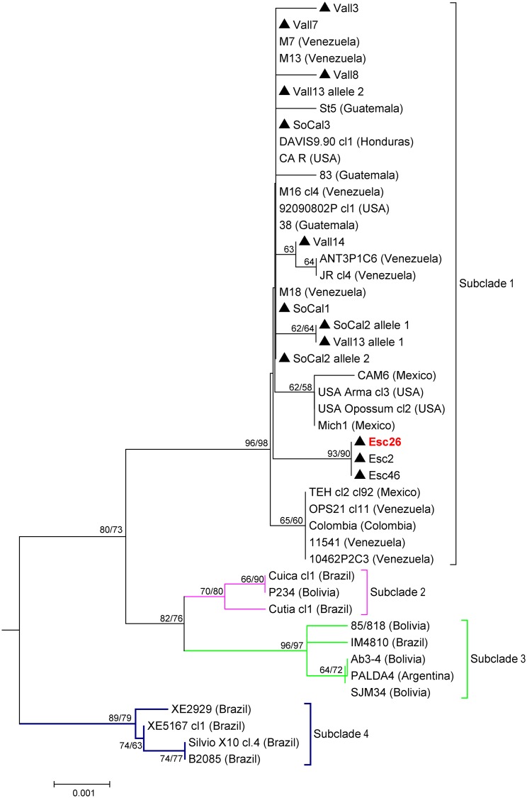 Fig 5