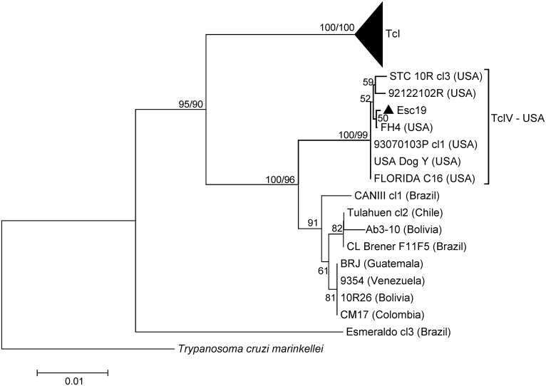 Fig 4