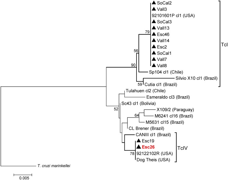 Fig 2