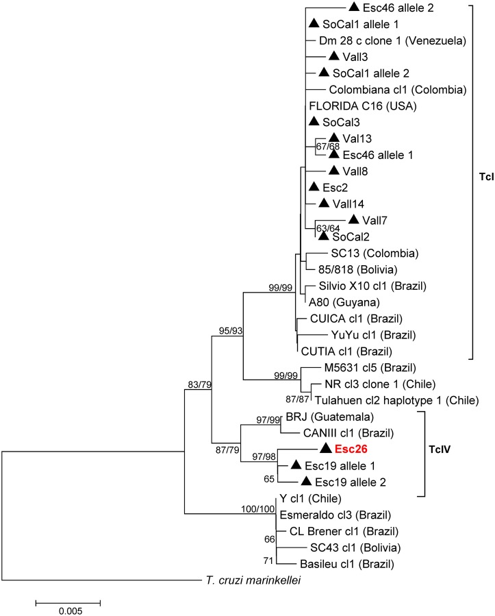 Fig 3