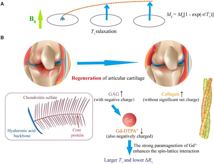 Figure 11.