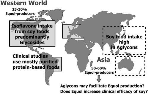 FIGURE 3 