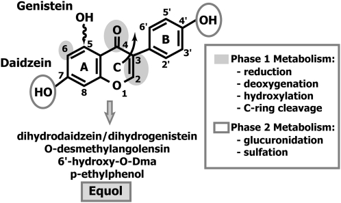 FIGURE 2 