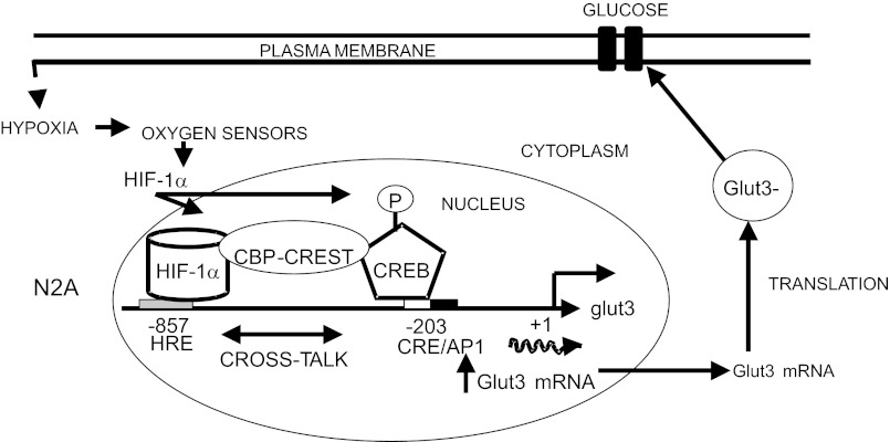 Fig. 9.