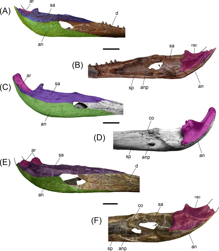 Fig 6