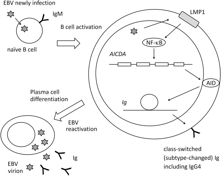 FIG. 1.