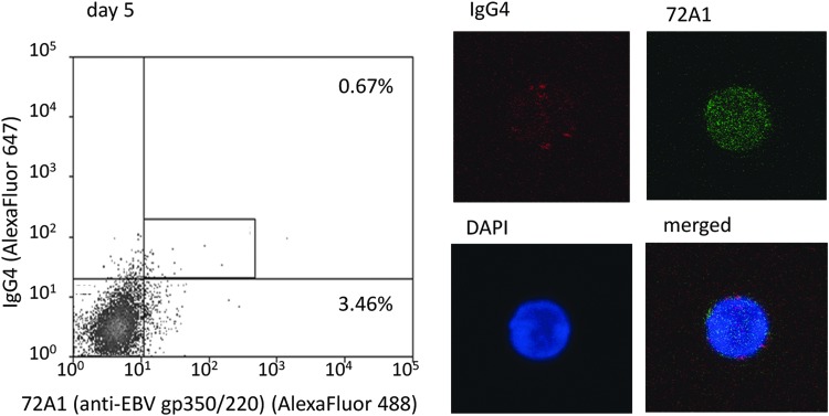 FIG. 4.