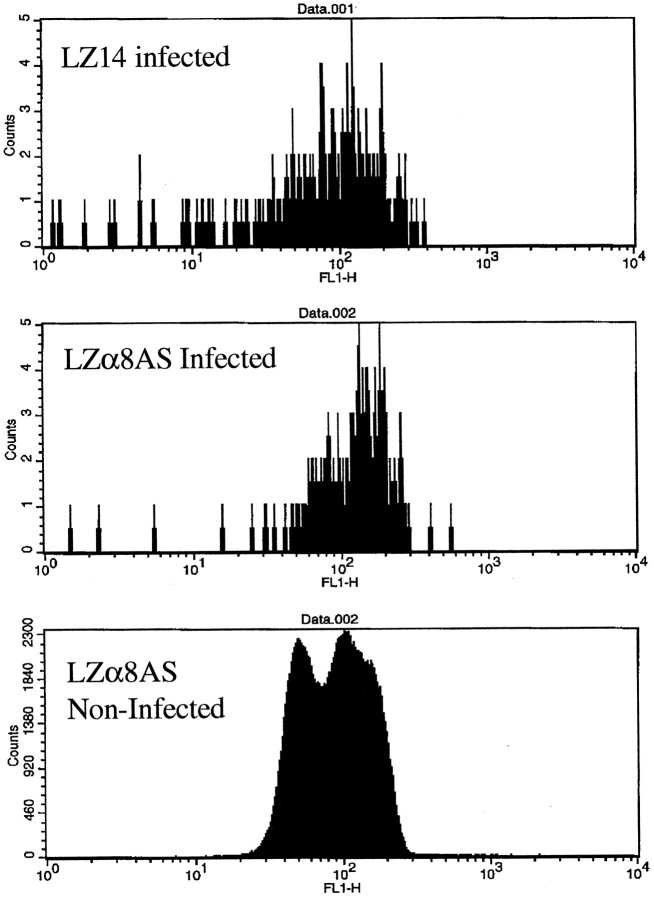 Fig. 11.