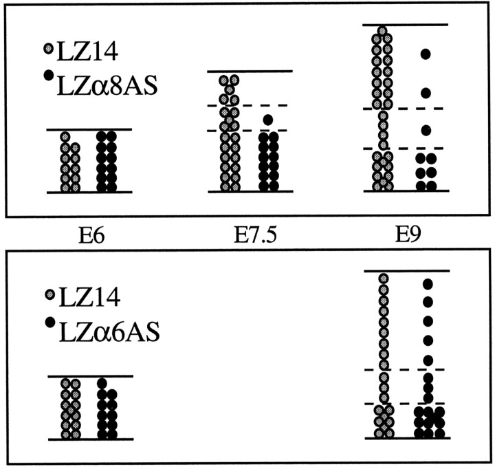 Fig. 12.