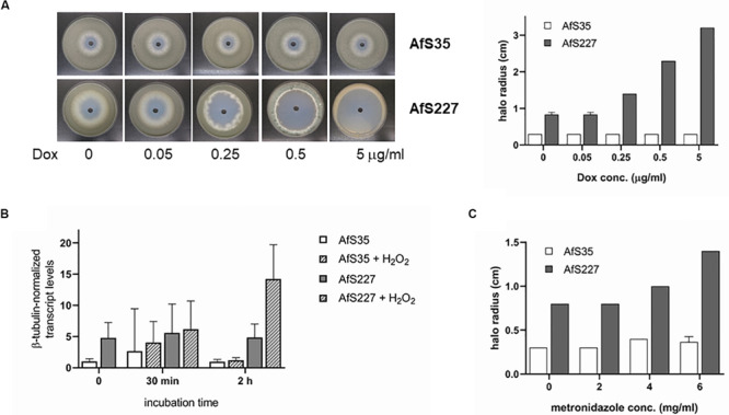 FIGURE 3