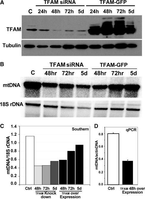 Figure 7.