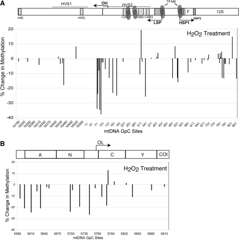 Figure 10.