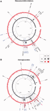 F<sc>ig</sc>. 4.