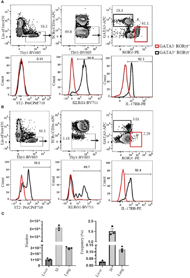 Figure 6