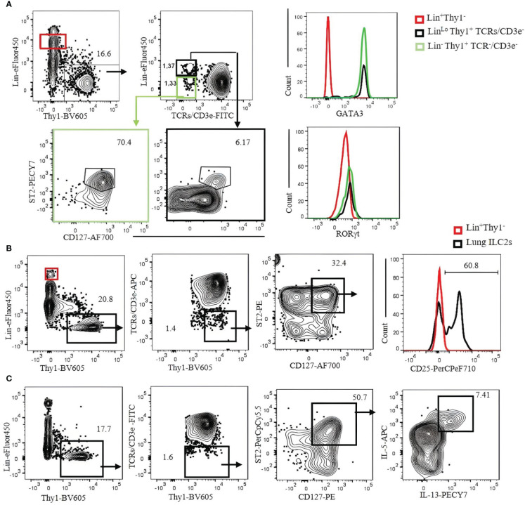 Figure 5