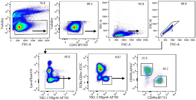 Figure 1