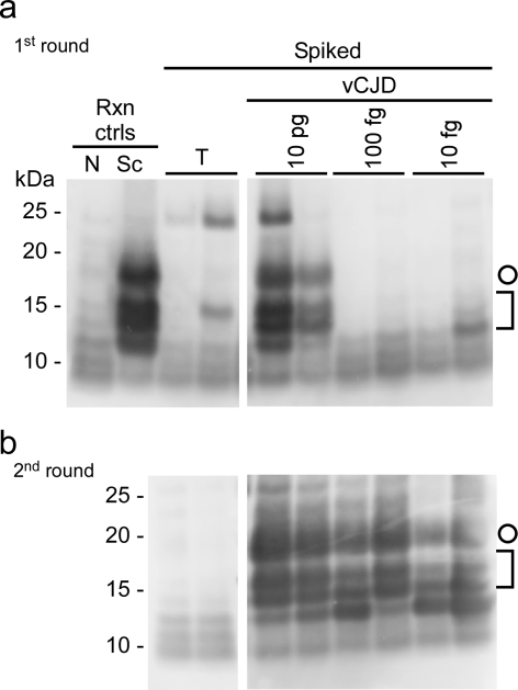 FIG 1 