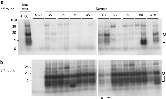 FIG 2 