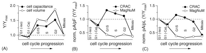 Fig. 6