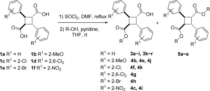 Scheme 3