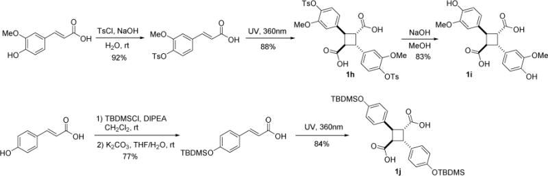 Scheme 2