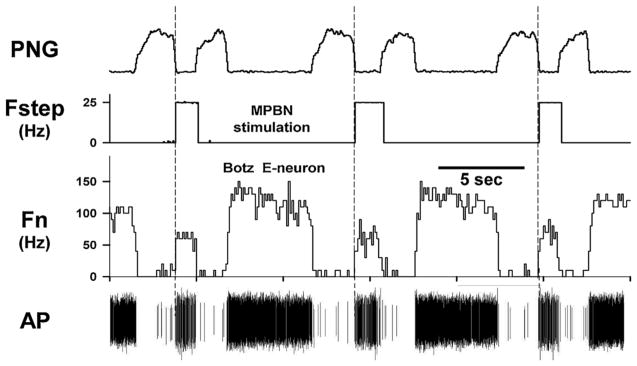 Fig. 5