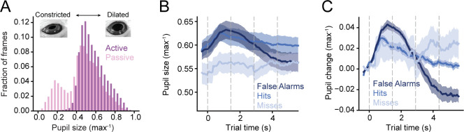 Figure 1—figure supplement 1.