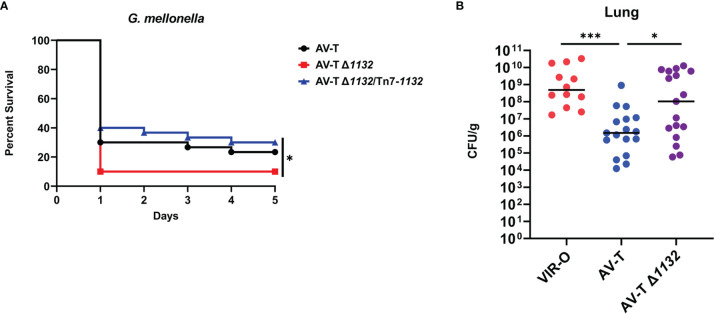 Figure 4