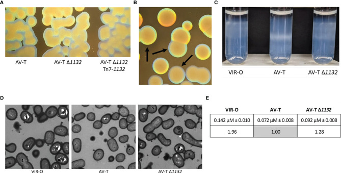 Figure 3