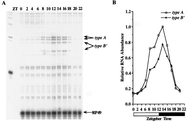 FIG. 7