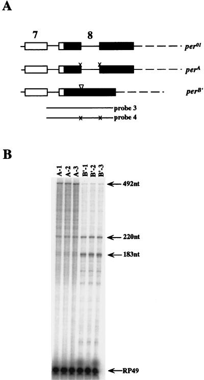 FIG. 6