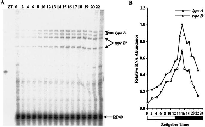 FIG. 8