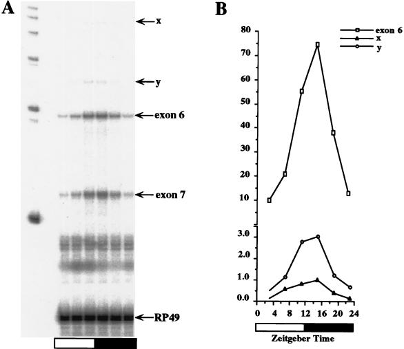 FIG. 3