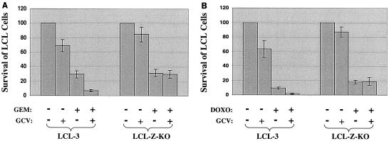 FIG. 5.