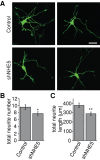 FIGURE 10: